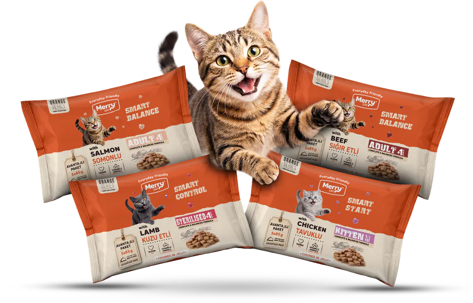 Merry 5 × 85 g yaş mama flowpack paketleri ve kedi